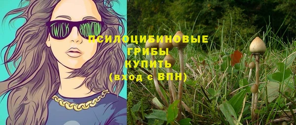 дмт Алзамай