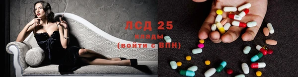 прущие грибы Армянск