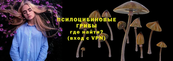 дмт Алзамай