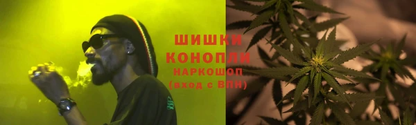прущие грибы Армянск