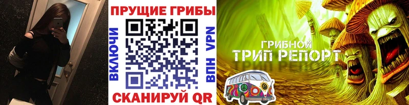 кракен зеркало  наркота  Керчь  Псилоцибиновые грибы GOLDEN TEACHER 